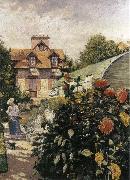 Gustave Caillebotte Big Chrysanthemum in the garden oil on canvas